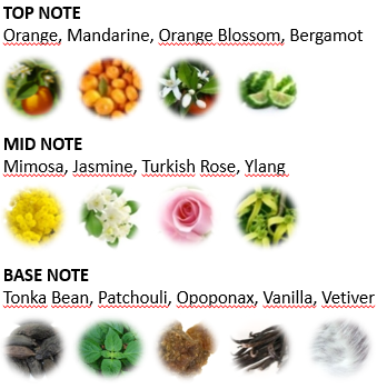 Parfüm Notaları